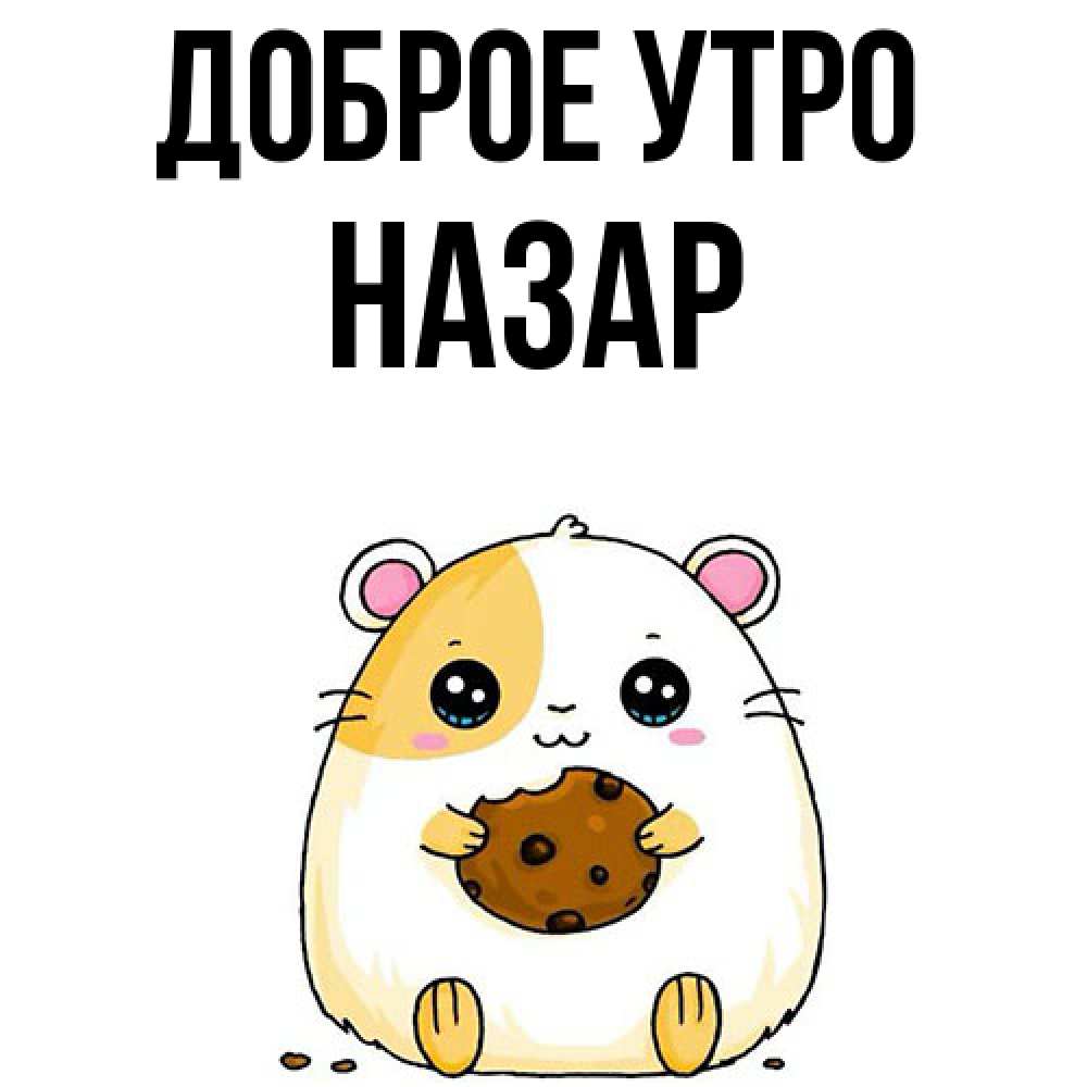 Открытка на каждый день с именем, Назар Доброе утро есть печеньку. Утречко Прикольная открытка с пожеланием онлайн скачать бесплатно 