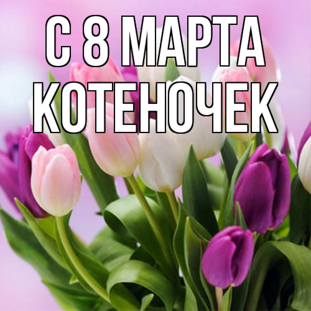 Открытка на каждый день с именем, Котеночек C 8 МАРТА весна март Прикольная открытка с пожеланием онлайн скачать бесплатно 