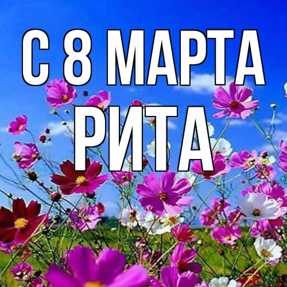 Открытка на каждый день с именем, Рита C 8 МАРТА цветы Прикольная открытка с пожеланием онлайн скачать бесплатно 