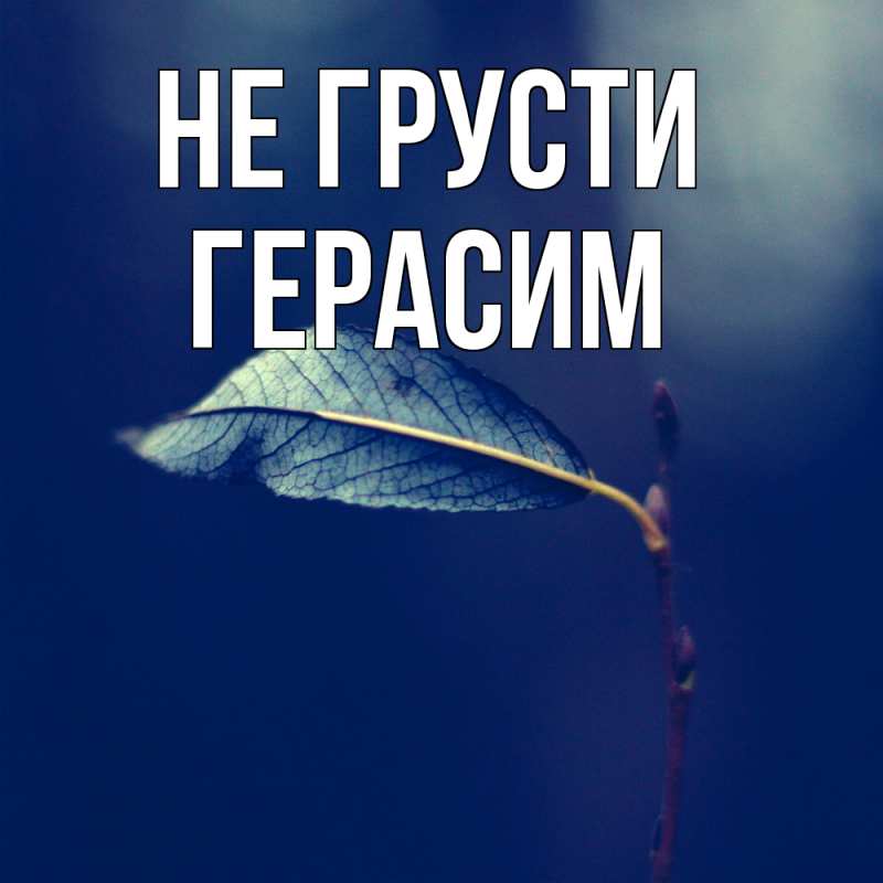 Картинка Не грусти, Герасим