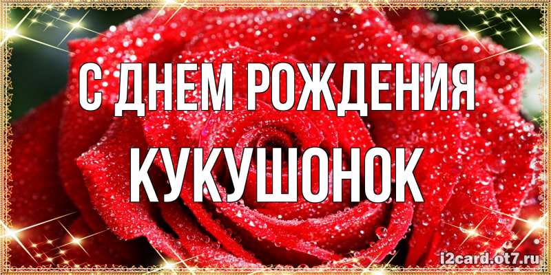 Картинка С днем рождения, кукушонок