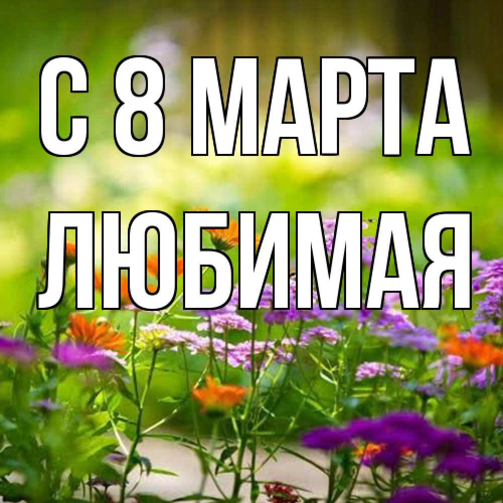 Открытка на каждый день с именем, Любимая C 8 МАРТА цветы Прикольная открытка с пожеланием онлайн скачать бесплатно 