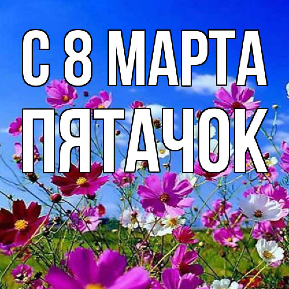 Открытка на каждый день с именем, Пятачок C 8 МАРТА цветы Прикольная открытка с пожеланием онлайн скачать бесплатно 