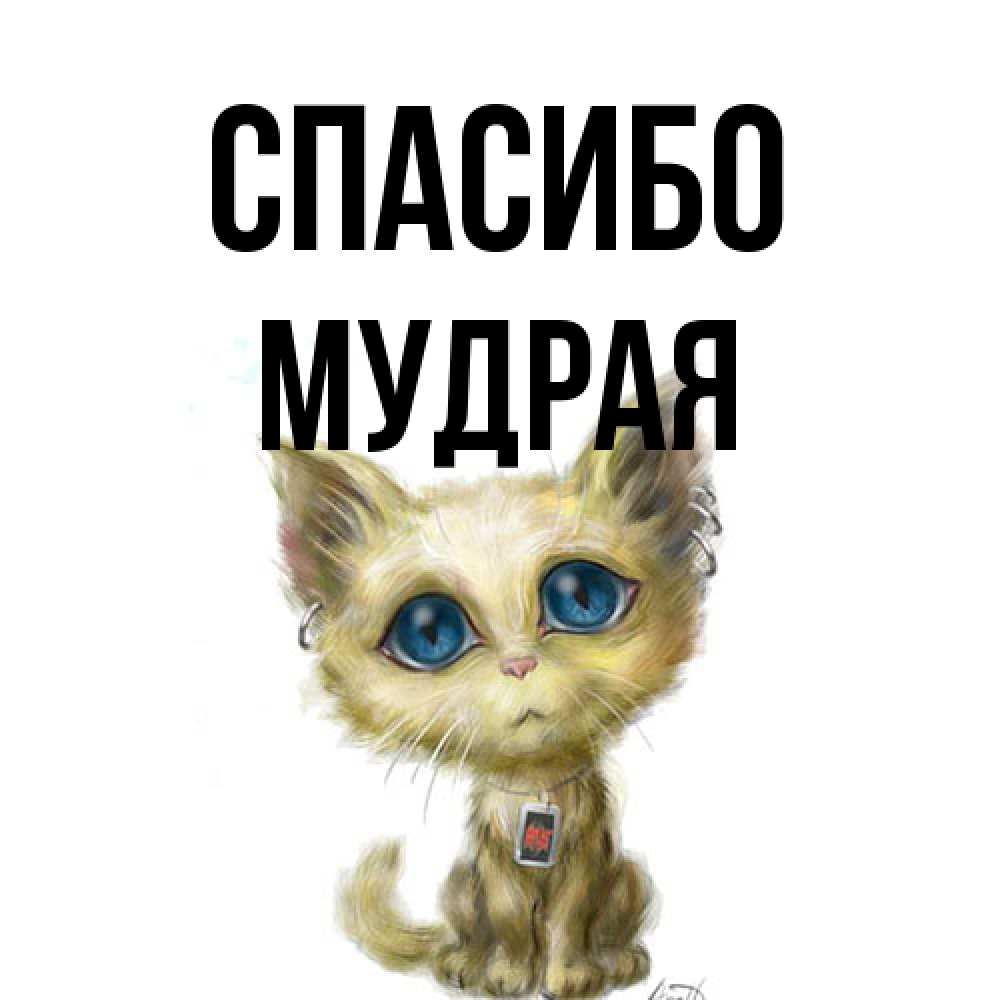 Открытка на каждый день с именем, мудрая Спасибо рисованный кот благодарит вас Прикольная открытка с пожеланием онлайн скачать бесплатно 