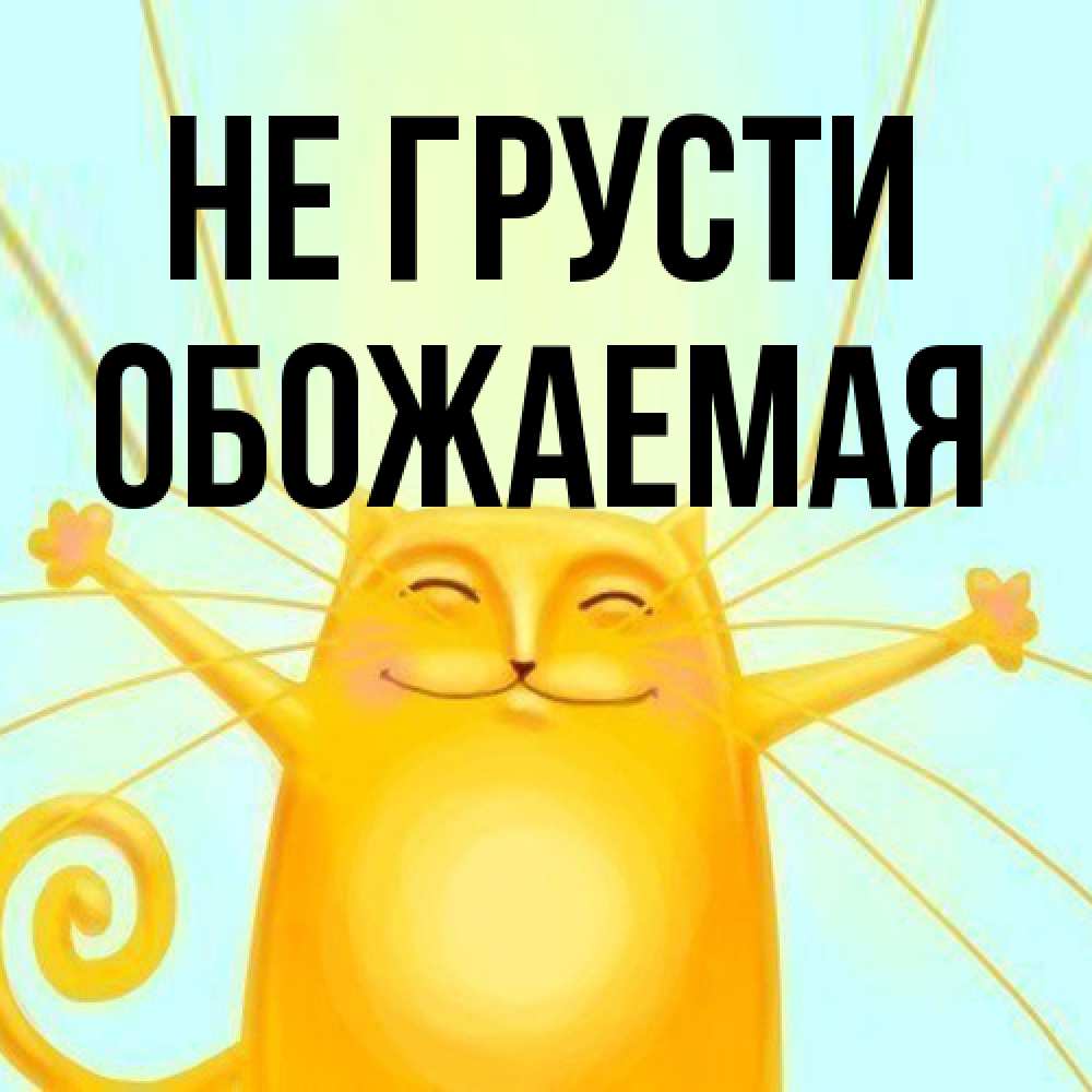 Открытка на каждый день с именем, обожаемая Не грусти обнимашки усатые Прикольная открытка с пожеланием онлайн скачать бесплатно 