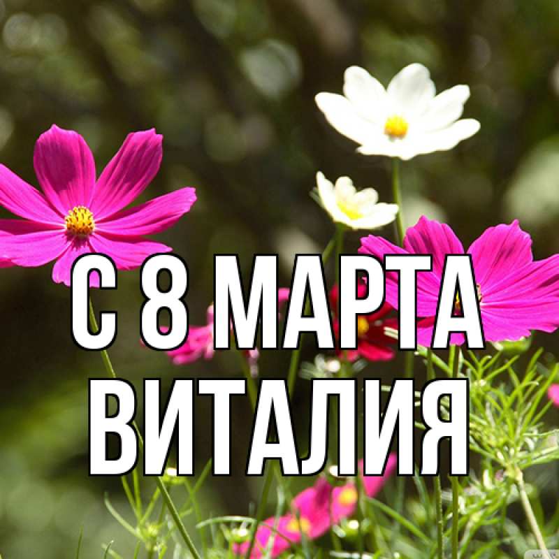 Картинка C 8 МАРТА, Виталия