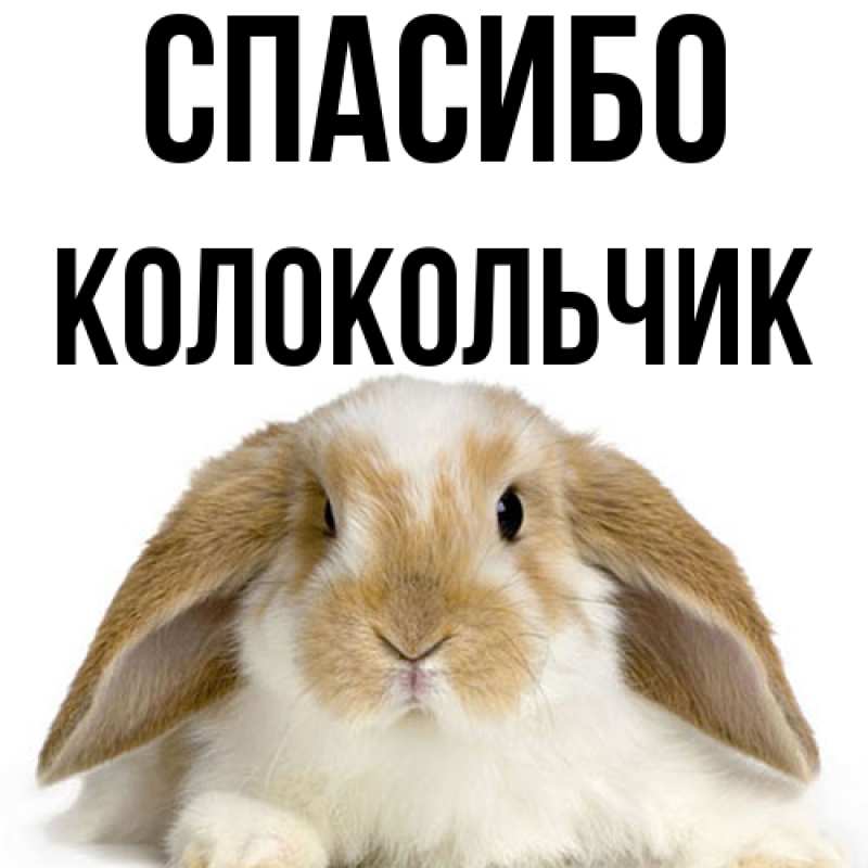 Картинка Спасибо, Колокольчик