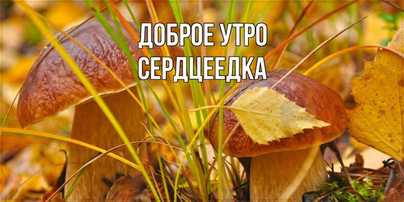 Картинка Доброе утро, сердцеедка