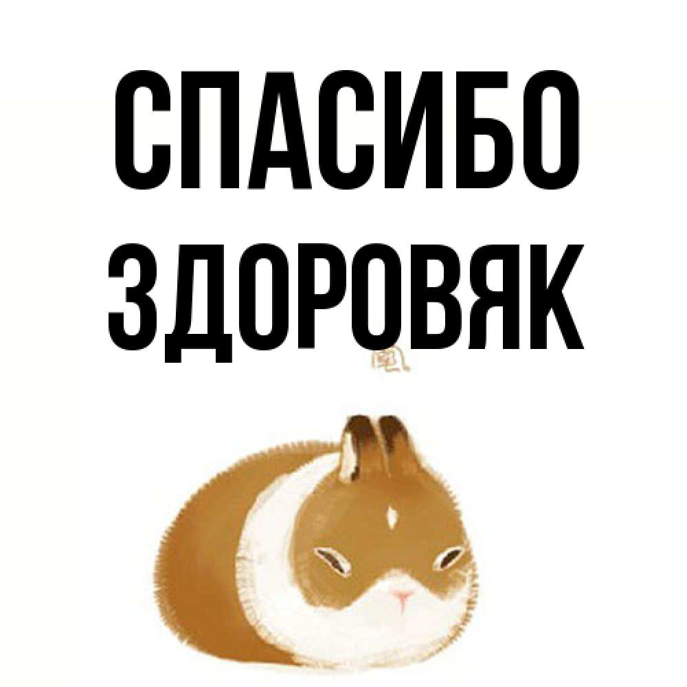 Открытка на каждый день с именем, Здоровяк Спасибо коричнево белый домашний питомец Прикольная открытка с пожеланием онлайн скачать бесплатно 