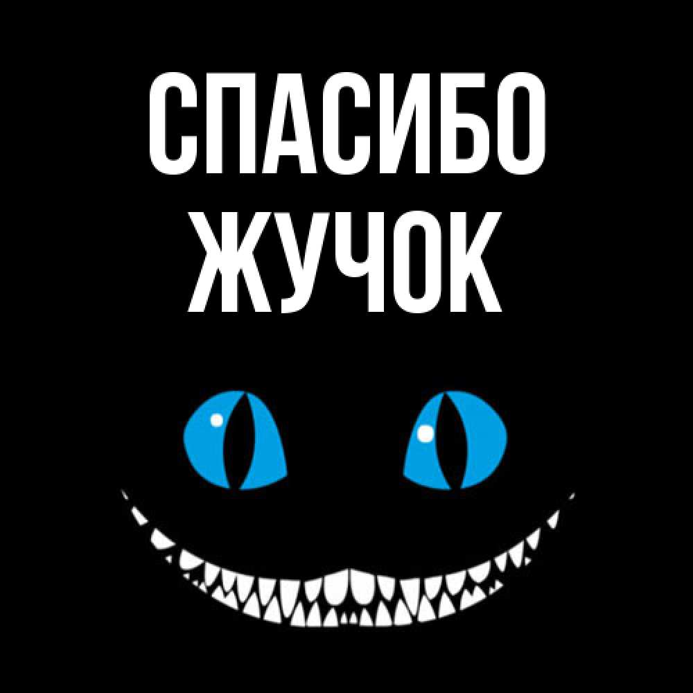 Открытка на каждый день с именем, жучок Спасибо благодарю от чеширика Прикольная открытка с пожеланием онлайн скачать бесплатно 