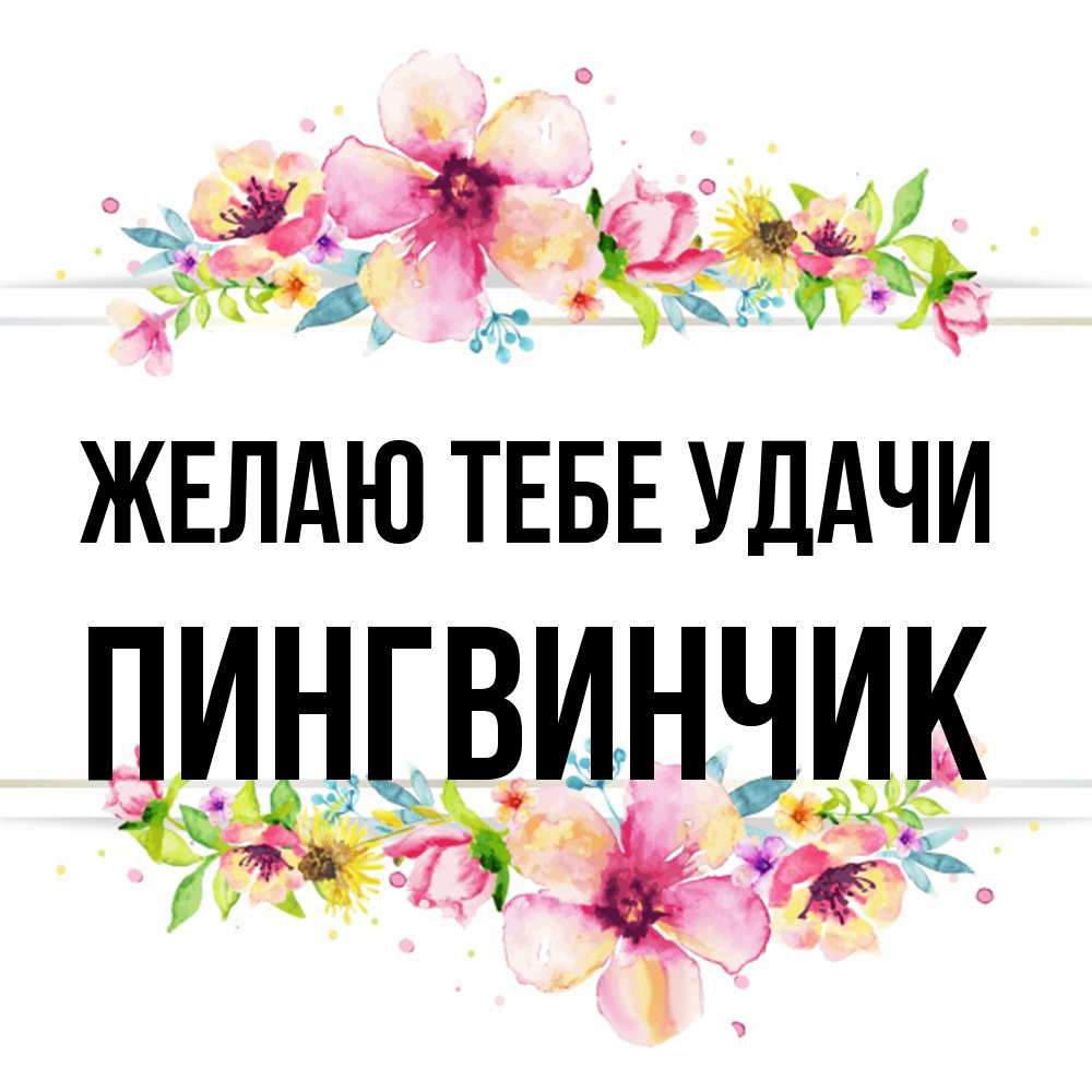 Открытка на каждый день с именем, пингвинчик Желаю тебе удачи пусть повезет 1 Прикольная открытка с пожеланием онлайн скачать бесплатно 