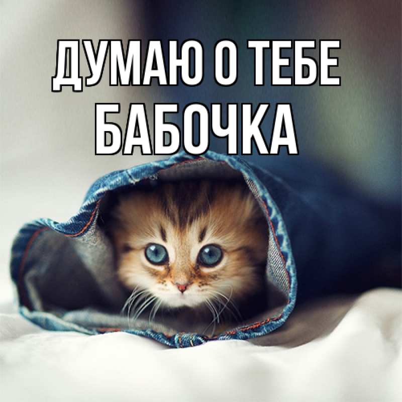 Картинка Думаю о тебе, Бабочка