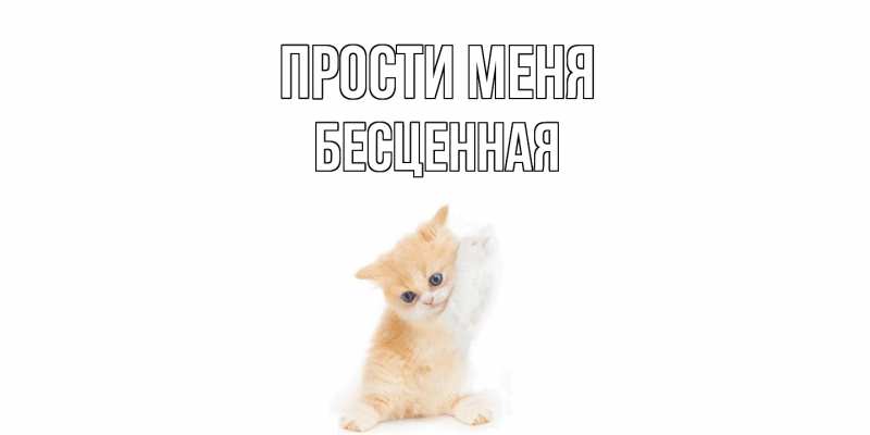 Картинка Прости меня, Бесценная