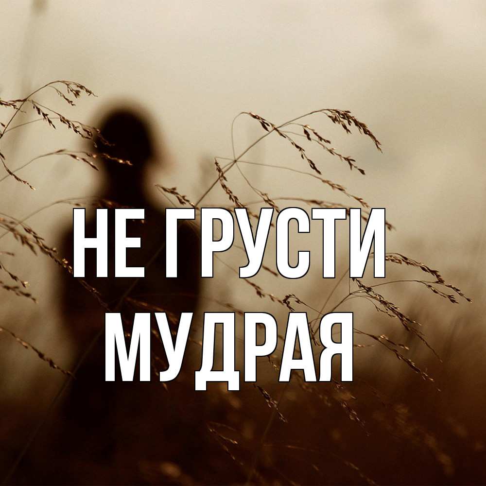 Открытка на каждый день с именем, Мудpая Не грусти грусть Прикольная открытка с пожеланием онлайн скачать бесплатно 