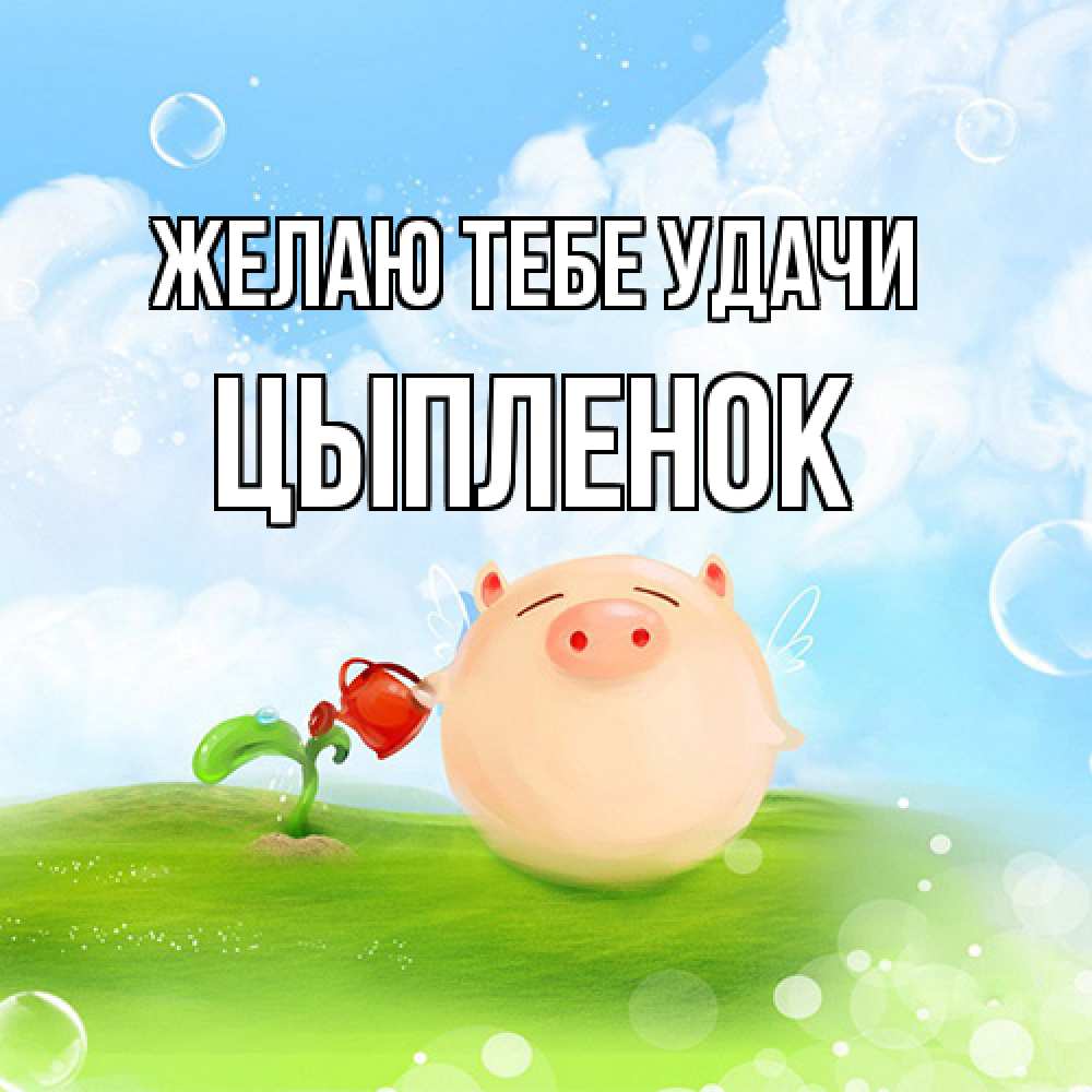 Открытка на каждый день с именем, Цыпленок Желаю тебе удачи поросенок поливает цветок. летнее настроение Прикольная открытка с пожеланием онлайн скачать бесплатно 