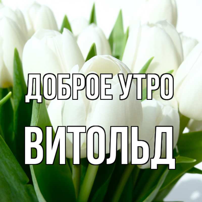 Картинка Доброе утро, Витольд