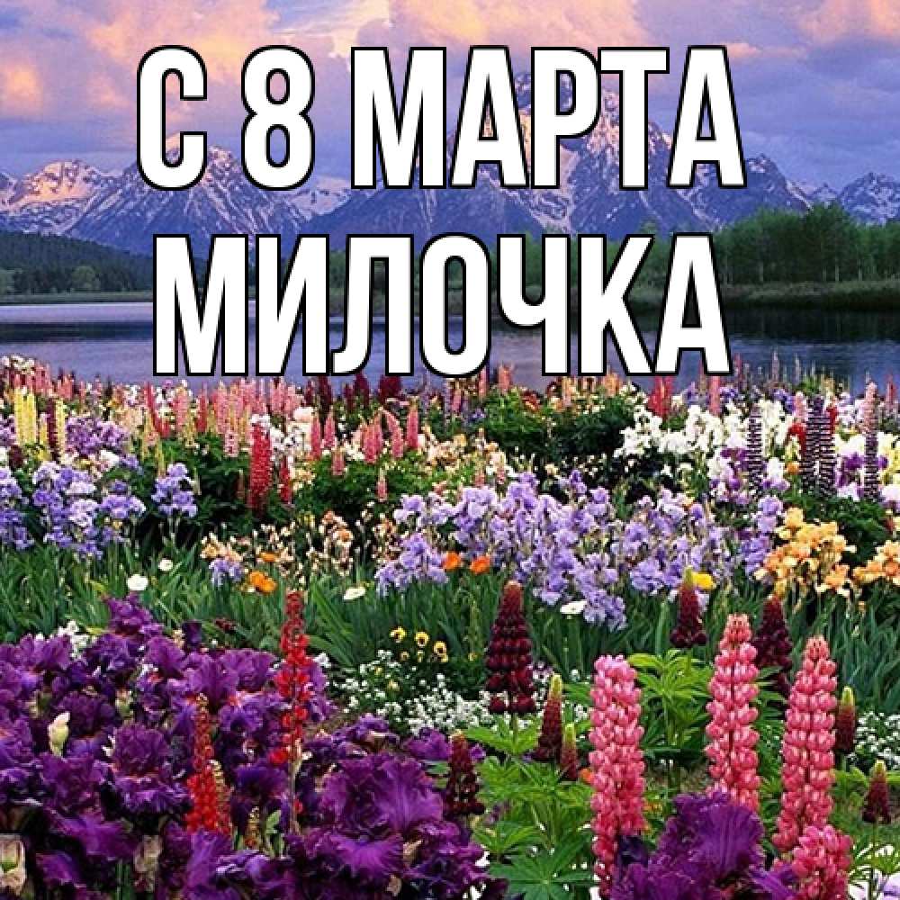 Открытка на каждый день с именем, Милочка C 8 МАРТА международный женский день Прикольная открытка с пожеланием онлайн скачать бесплатно 