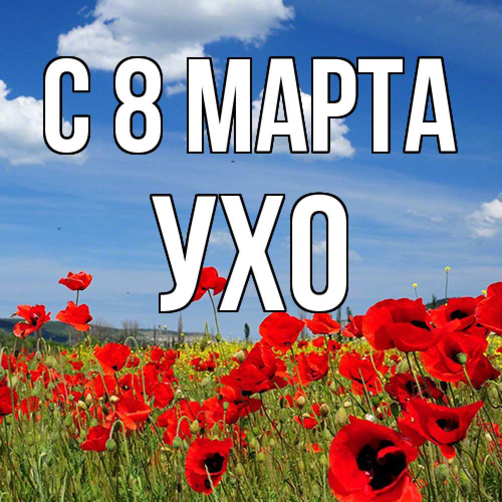 Открытка на каждый день с именем, Ухо C 8 МАРТА международный женский день 1 Прикольная открытка с пожеланием онлайн скачать бесплатно 