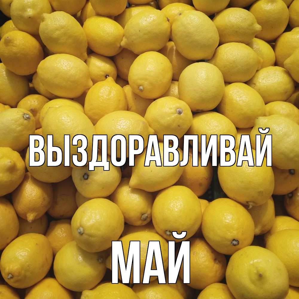 Открытка на каждый день с именем, Май Выздоравливай это точно поможет Прикольная открытка с пожеланием онлайн скачать бесплатно 