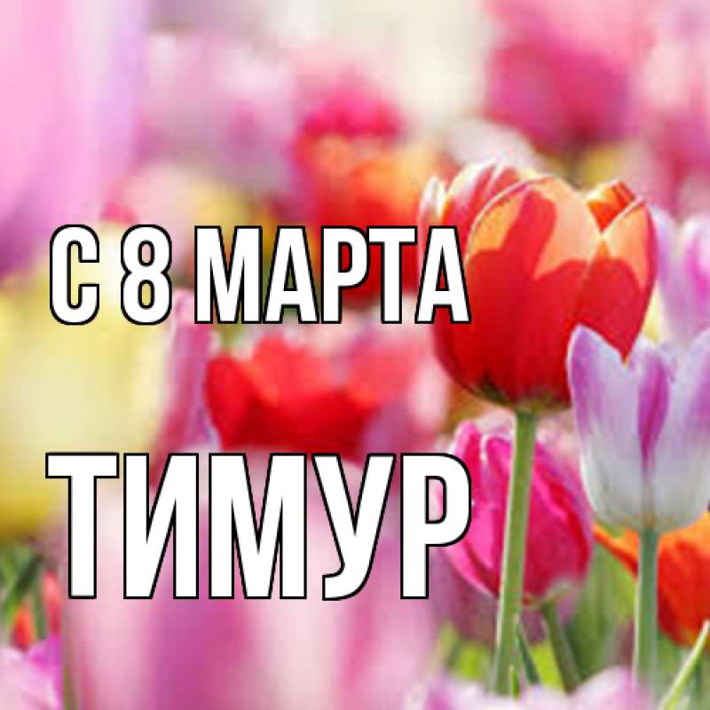 Картинка C 8 МАРТА, Тимур