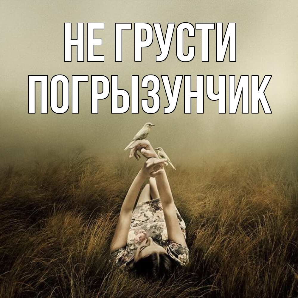 Открытка на каждый день с именем, Погрызунчик Не грусти поле и туман Прикольная открытка с пожеланием онлайн скачать бесплатно 