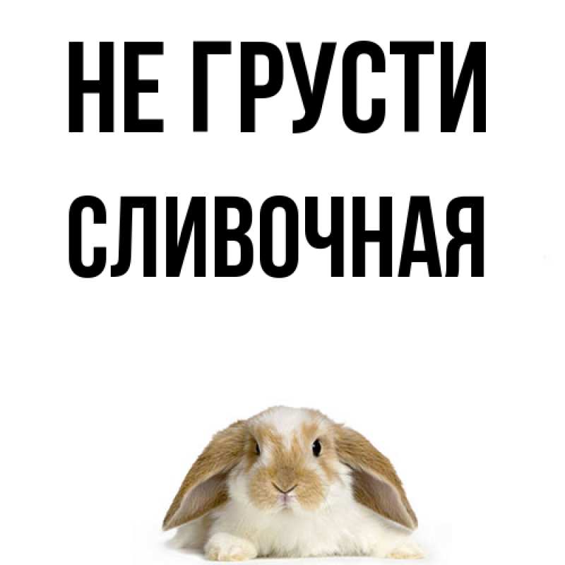 Картинка Не грусти, Сливочная