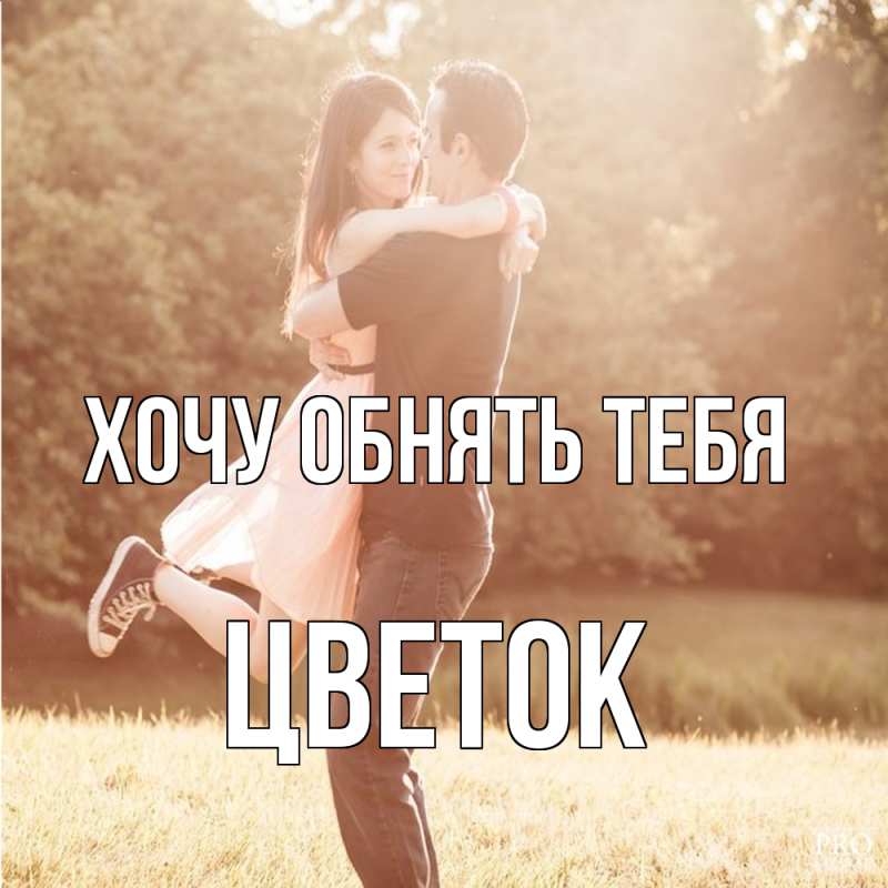 Картинка Хочу обнять тебя, Цветок