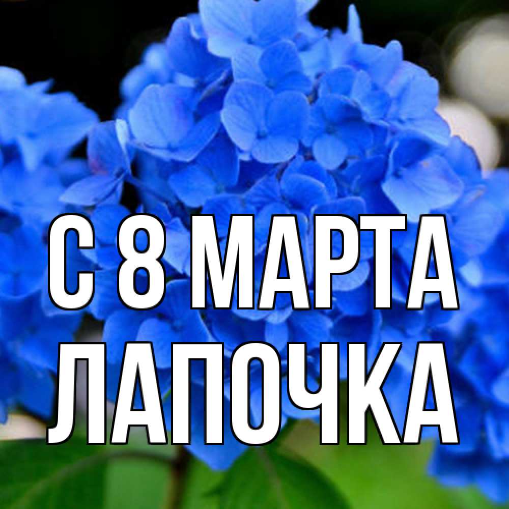 Открытка на каждый день с именем, лапочка C 8 МАРТА синие цветы Прикольная открытка с пожеланием онлайн скачать бесплатно 