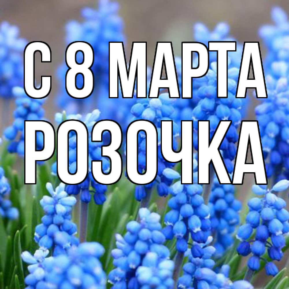 Открытка на каждый день с именем, Розочка C 8 МАРТА Поздравительная открытка для женщин с цветами на праздничную дату Прикольная открытка с пожеланием онлайн скачать бесплатно 