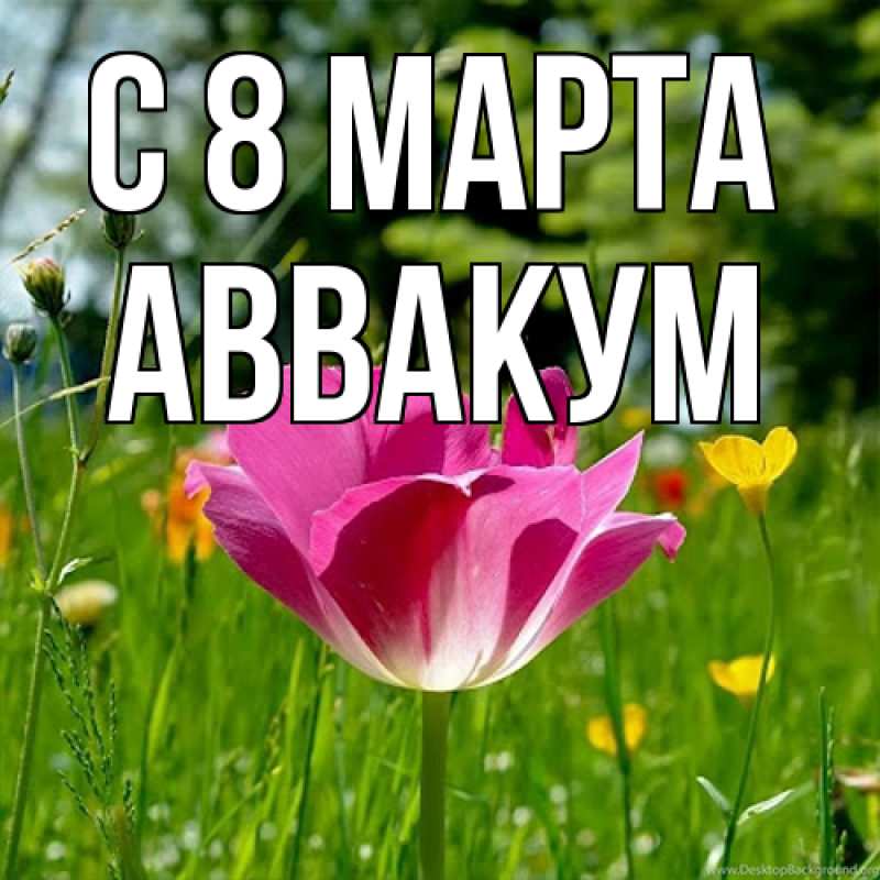 Картинка C 8 МАРТА, Аввакум
