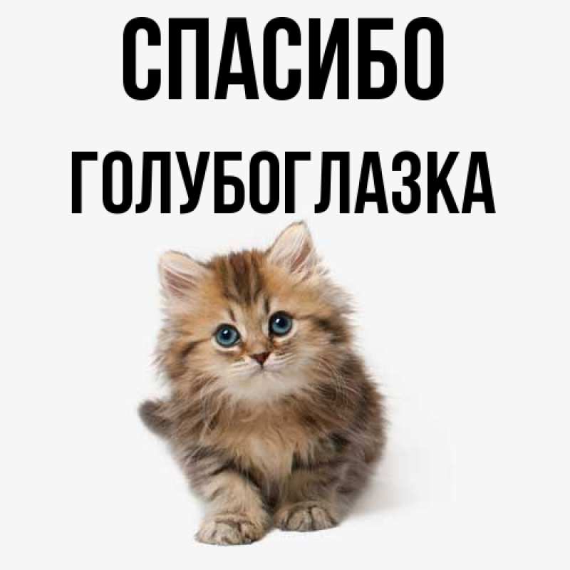 Картинка Спасибо, Голубоглазка
