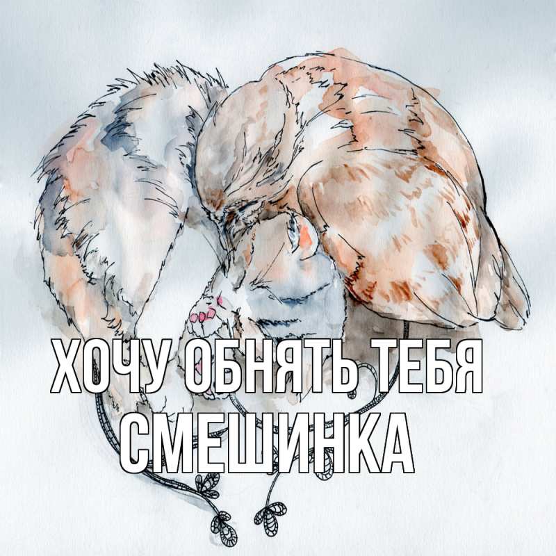 Картинка Хочу обнять тебя, Смешинка