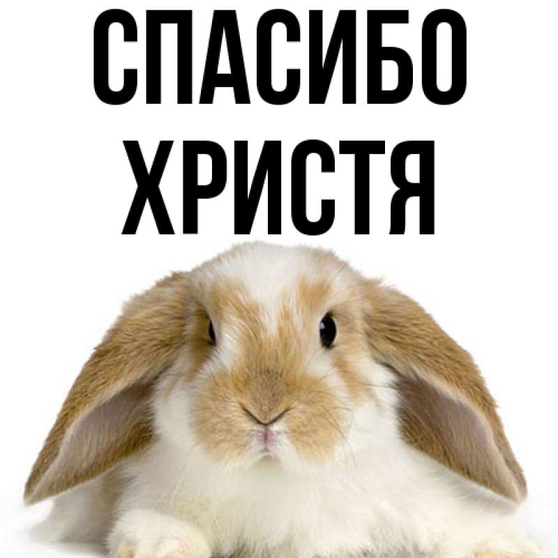 Картинка Спасибо, Христя