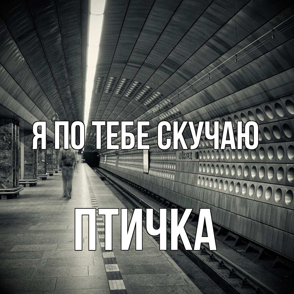 Открытка на каждый день с именем, Птичка Я по тебе скучаю приезжай 1 Прикольная открытка с пожеланием онлайн скачать бесплатно 