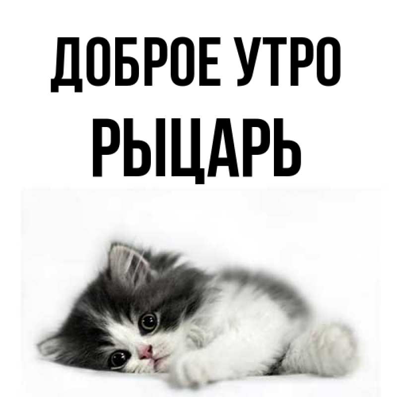 Картинка Доброе утро, Рыцарь