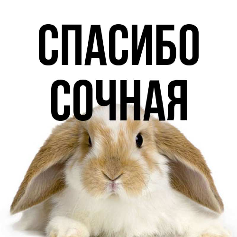 Открытка с именем, Сочная, Спасибо