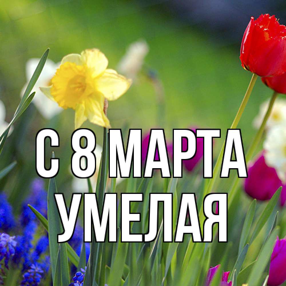 Открытка на каждый день с именем, Умелая C 8 МАРТА международный женский день 3 Прикольная открытка с пожеланием онлайн скачать бесплатно 