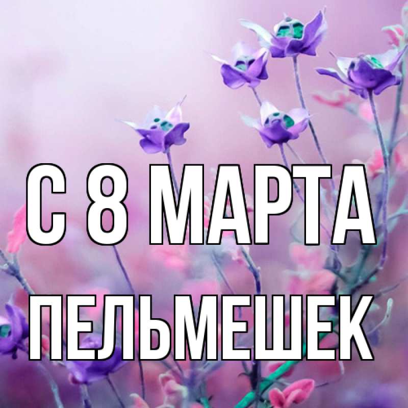 Картинка C 8 МАРТА, пельмешек