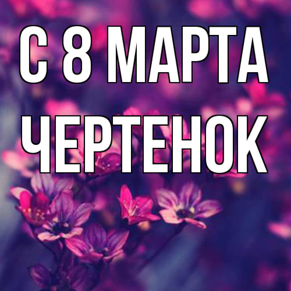 Открытка на каждый день с именем, чеpтенок C 8 МАРТА небольшие цветы 1 Прикольная открытка с пожеланием онлайн скачать бесплатно 