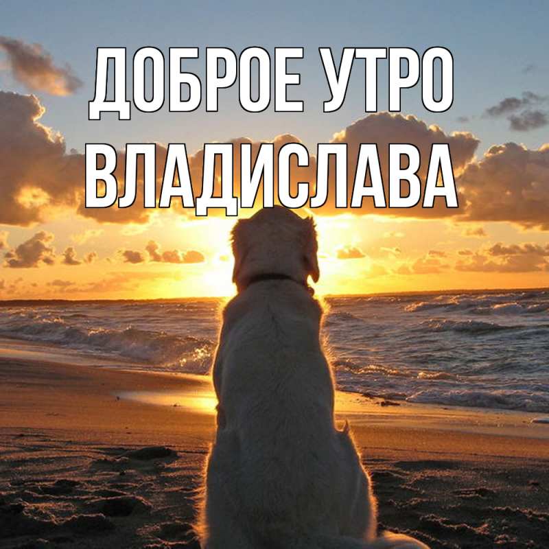 Картинка Доброе утро, Владислава