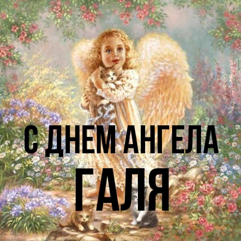 Открытка на каждый день с именем, Галя С днем ангела держит котенка Прикольная открытка с пожеланием онлайн скачать бесплатно 