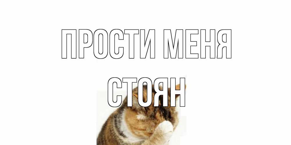 Открытка на каждый день с именем, Стоян Прости меня кот Прикольная открытка с пожеланием онлайн скачать бесплатно 