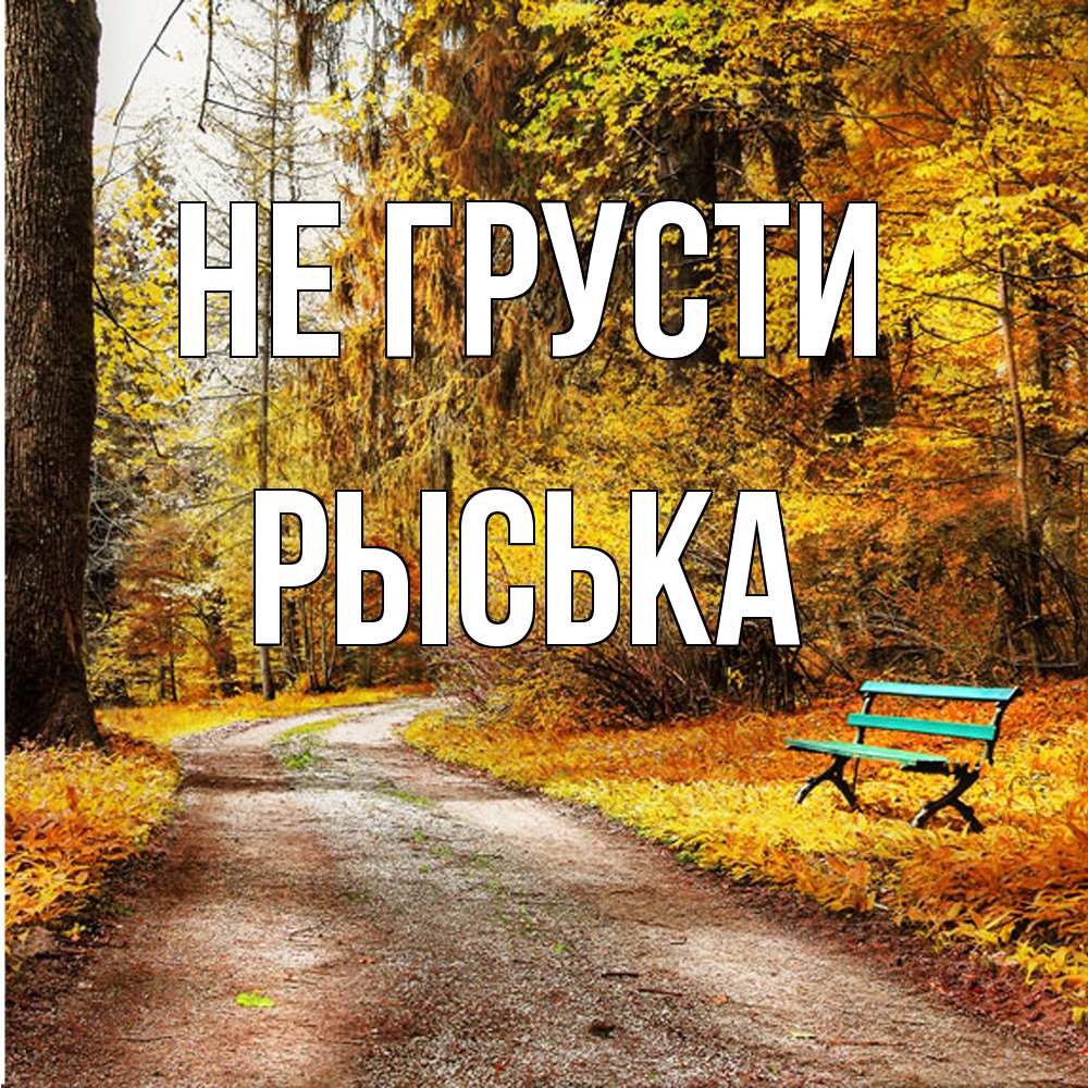 Открытка на каждый день с именем, Рыська Не грусти зеленая лавочка Прикольная открытка с пожеланием онлайн скачать бесплатно 