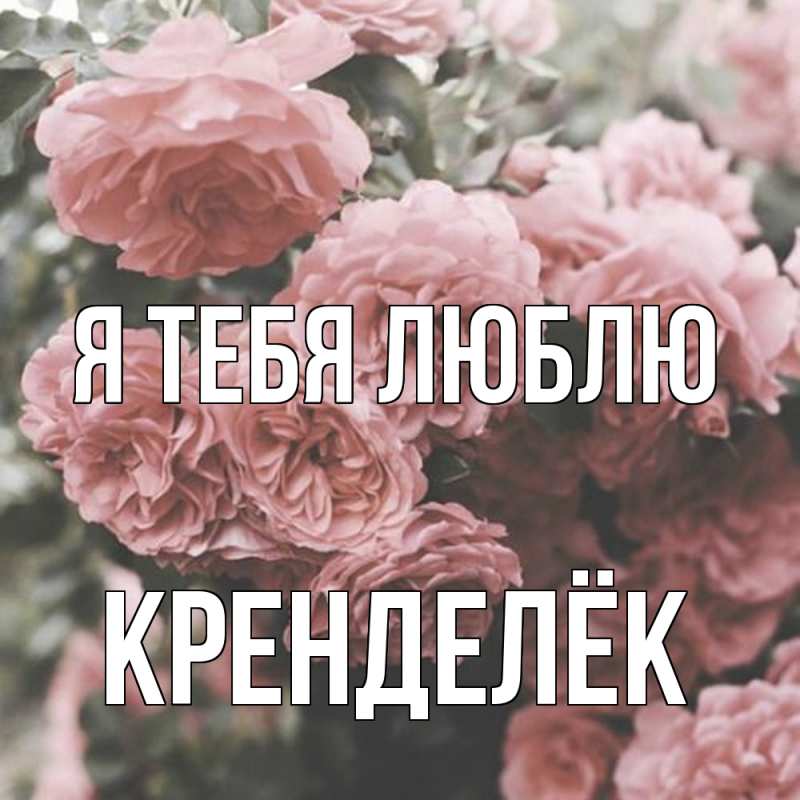 Картинка Я тебя люблю, Кренделёк