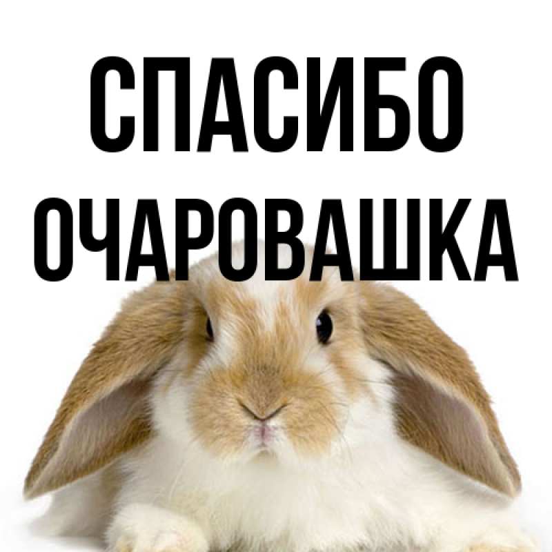 Картинка Спасибо, Очаpовашка