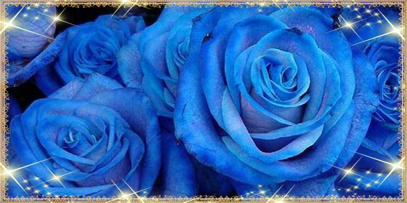 Открытка с именем, Махмуд, C 8 МАРТА