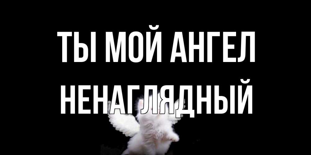 Открытка на каждый день с именем, Ненаглядный Ты мой ангел Кот ангел Прикольная открытка с пожеланием онлайн скачать бесплатно 