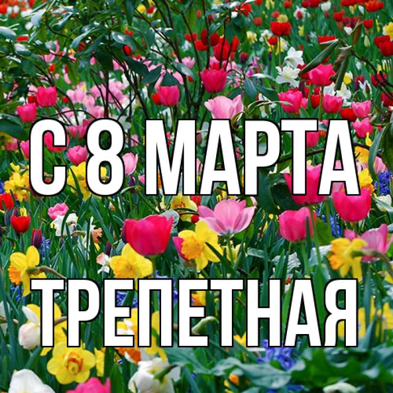 Картинка C 8 МАРТА, Тpепетная