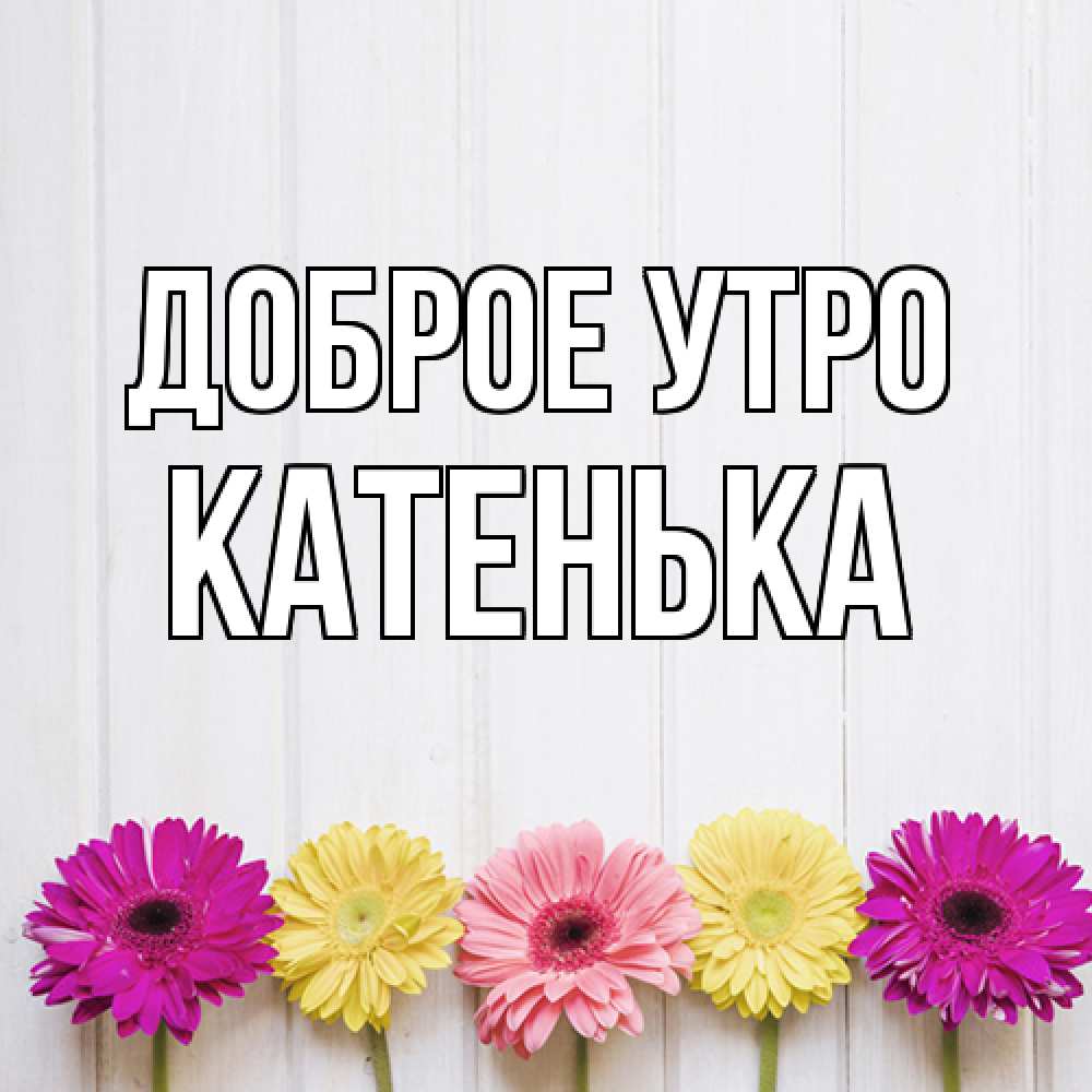 Открытка на каждый день с именем, Катенька Доброе утро красный желтый и розовый цветок Прикольная открытка с пожеланием онлайн скачать бесплатно 