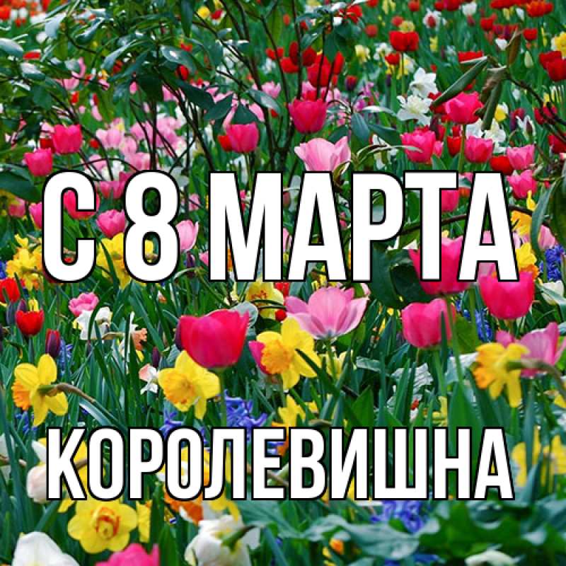 Картинка C 8 МАРТА, Королевишна